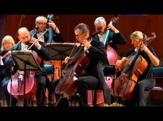 Венский оркестр Имре Кальмана. Гранд-Гала/ Wiener Kalman Orchester. Grand-Gala