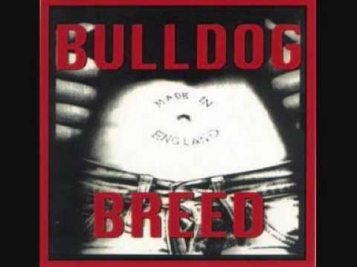 Bulldog Breed - We Hate You
