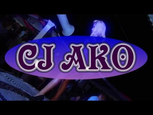 CJ AKO - Eurodance Megamix 2013 Best Dance 90 Remix Евродэнс 90s House Ibiza Party Music