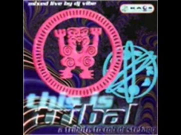 This is Tribal - A Tribute to Rob di Stefano [mixed by Dj Vibe]