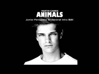 Martin Garrix - Animals (Junior Fernández Orchestra Intro Remix)