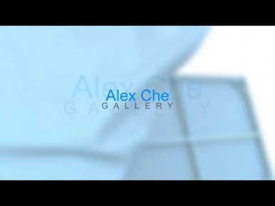 Alex Che - ART GALLERY (2014)