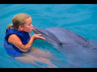 ДЕЛЬФИНЫ! Наше общение с дельфинами!