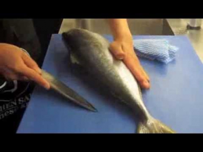 How to fillet Kingfish with Deba knife