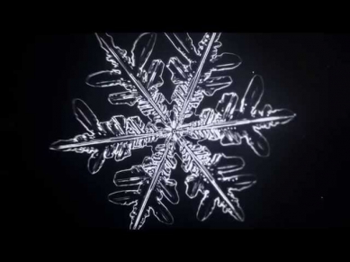 Microscopic Time-Lapse of Growing Snowflake - Vyacheslav Ivanov (2014)