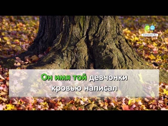 Я ухожу - Петлюра (karaoke.ru)