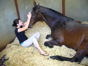 Девушка и конь       Girl and Horse