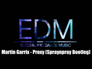 Martin Garrix - Proxy (Spraynpray Bootleg)