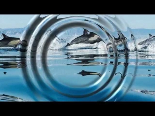 Звуки Природы Медитация Пение дельфинов