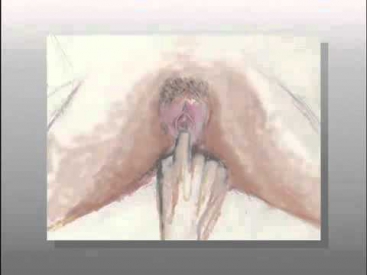 Эротический интимный генитальный массаж Точки G половых органов Видео Урок