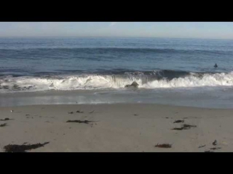 ♥♥ Relaxing 3 Hour Video of California Ocean Waves