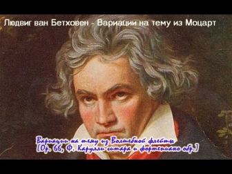 Бетховен класическая музыка. Волшебная флейта Моцарт. Красивая классика для души (детей)