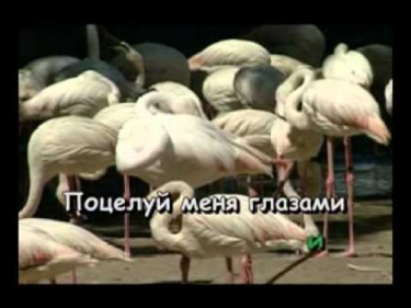 Караоке ► Русские Песни ♫   Глазами и душой ♫ Karaoke