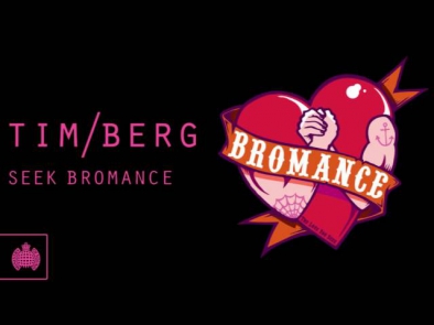 Tim Berg - Seek Bromance (Avicii's Vocal Edit)   Released 24th October 2010