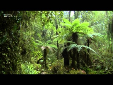 Выжить любой ценой.Новая Зеландия. Южный остров (sezon 7x2)HD
