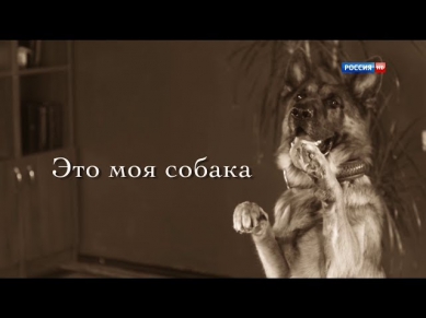 Это моя собака (2012) Мелодрама. Фильм «Это моя собака» смотреть онлайн