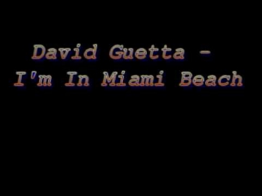 LMFAO & Chuckie/David Guetta - I'm In Miami Beach/Bitch