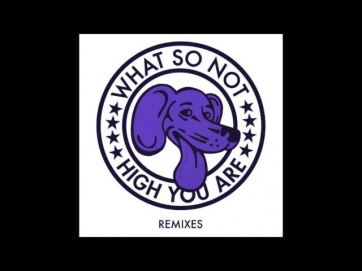 High You Are (Branchez Remix) - What So Not