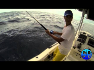 Offshore Live Bait Fishing for Kingfish/ King Mackeral