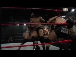 Seth Rollins vs Dean Ambrose vs Leakee(Roman Reigns)