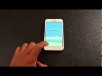 Flappy Bird Deleted, Dong Nguyen