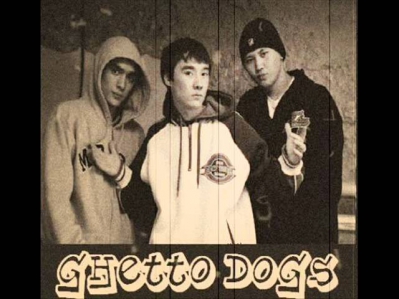 Ghetto dogs чайки...