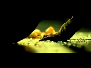 22 пули: Бессмертный (2010) DVDRip|Фильм|Боевик