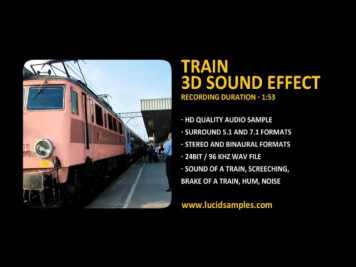 Train on the Railway Station 3D Sound Effect