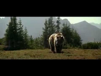 Медведь/  The Bear  / L' Ours (1988)