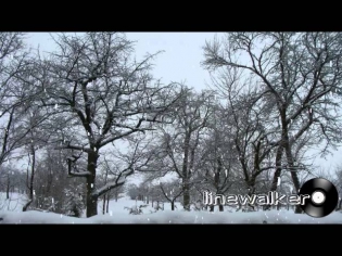 Linewalker - Яблоки на снегу (Михаил Муромов) (Vision III)