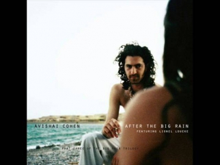 Avishai Cohen (Trumpet) - After The Big Rain (Epilogue)