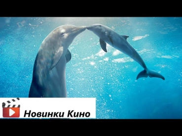 История дельфина 2 (трейлер русский) [Новинки Кино 2014]