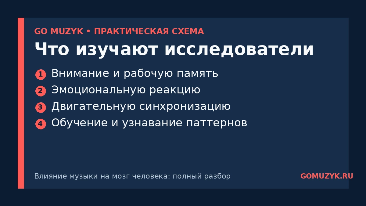 Что изучают исследователи — памятка GO MUZYK