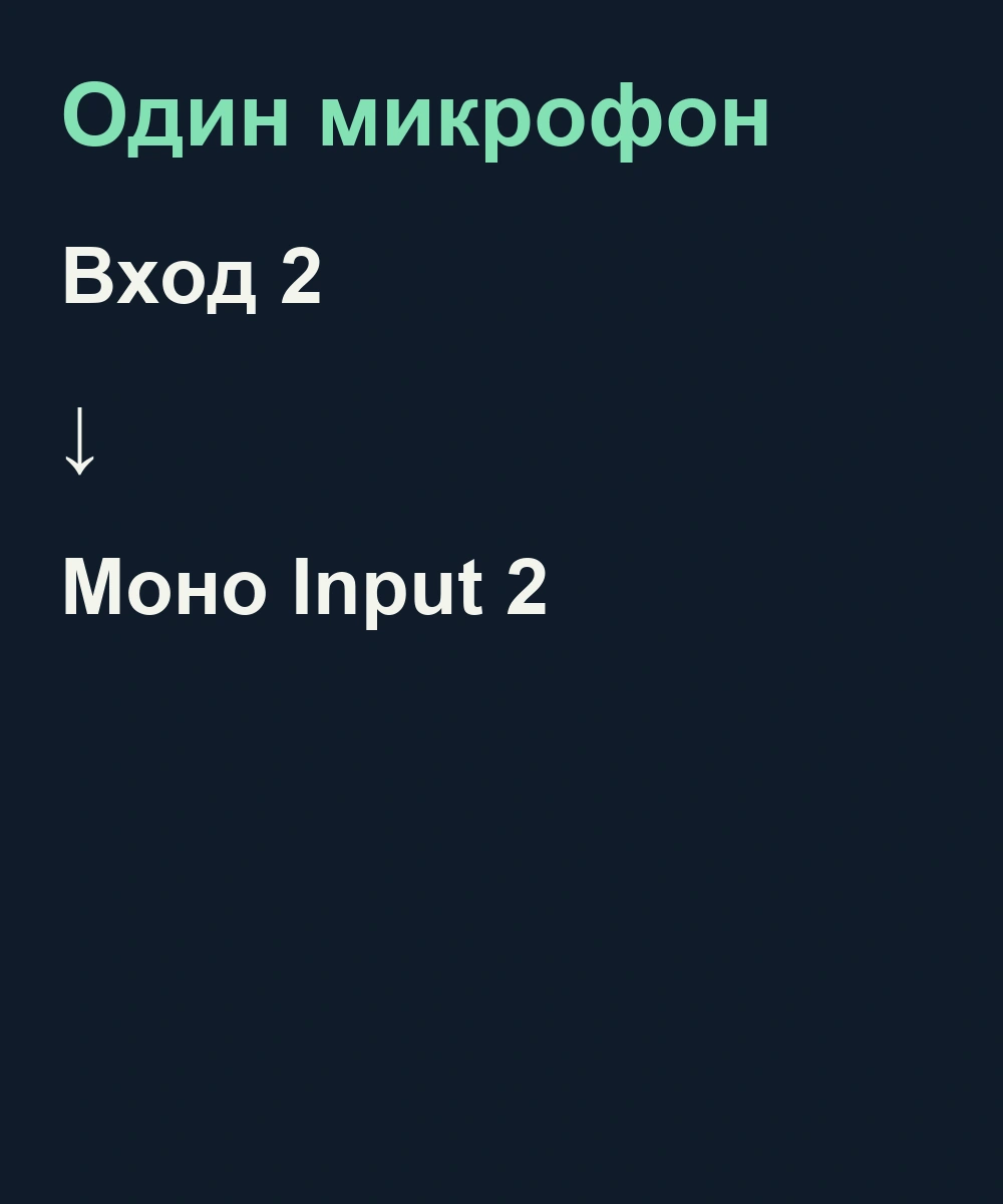 Один микрофон во входе 2 и монофонический Input 2 на дорожке